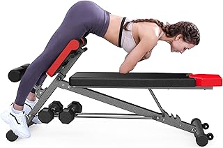 FF Finer Form Finer Form Multi-Functional Adjustable Workout Bench with Roman Chair