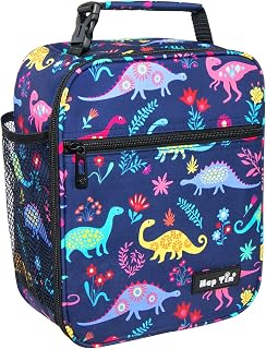 Hap Tim Lunch Box Kids Boys Insulated Lunchbox Mini Lunch Bag for School Thermal Meal Tote Kit, Dinosaur (CA18654-DS)